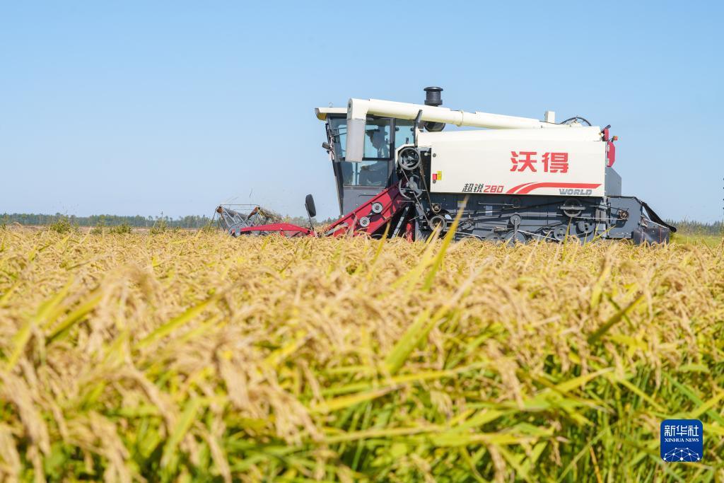 ibb账号注册